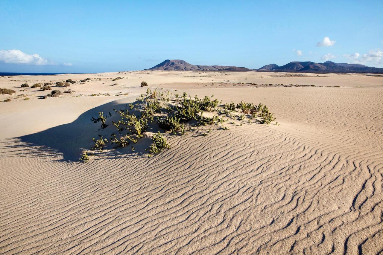 Villa Contenta Corralejo Eksteriør bilde